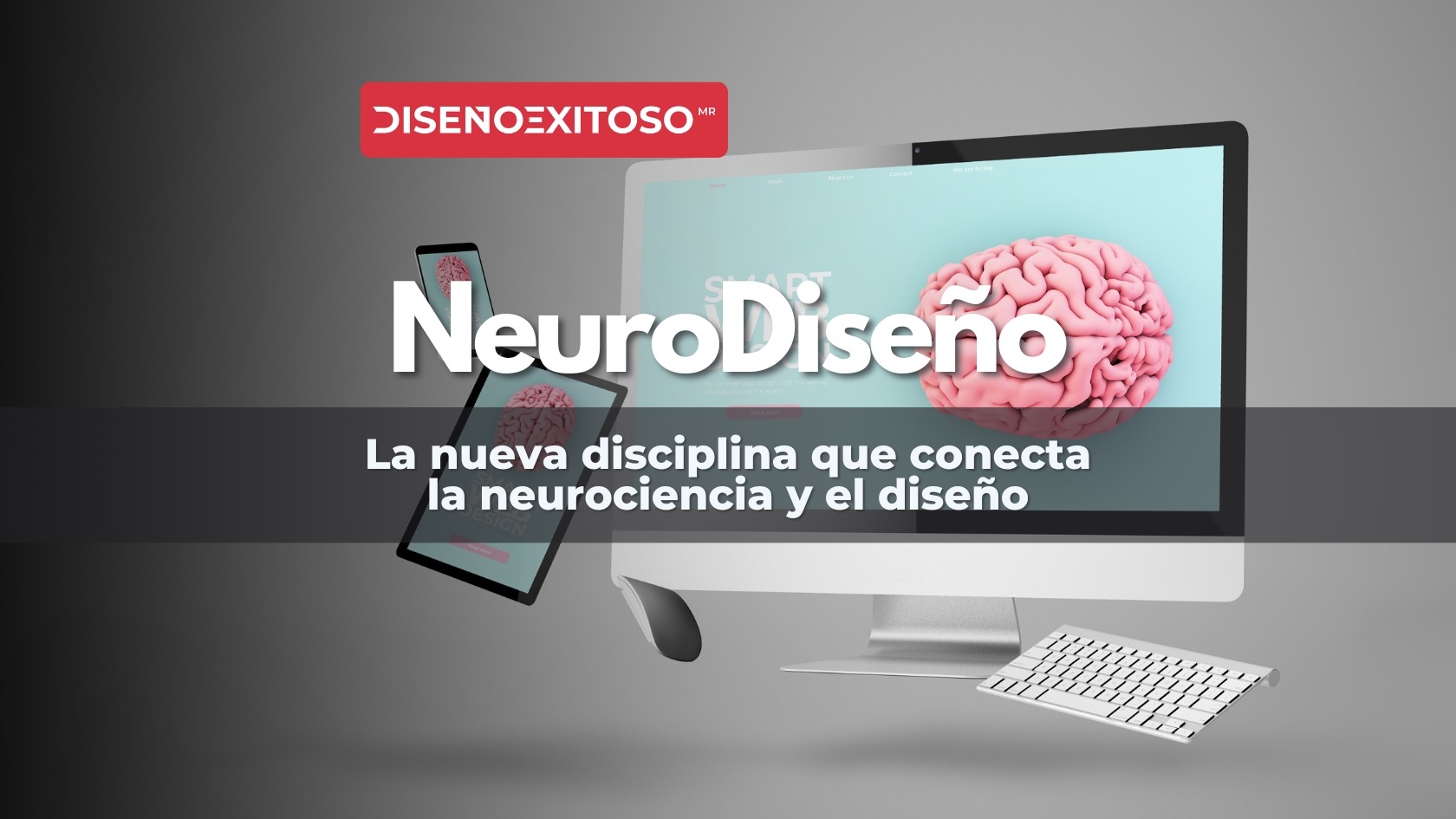 Neurodiseño neurociencia y diseño